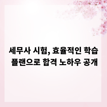 세무사 시험, 효율적인 학습 플랜으로 합격 노하우 공개