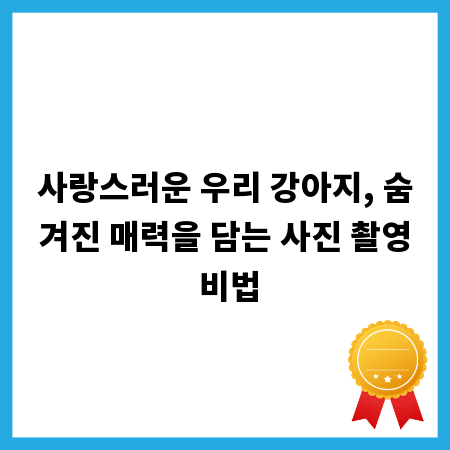 사랑스러운 우리 강아지, 숨겨진 매력을 담는 사진 촬영 비법