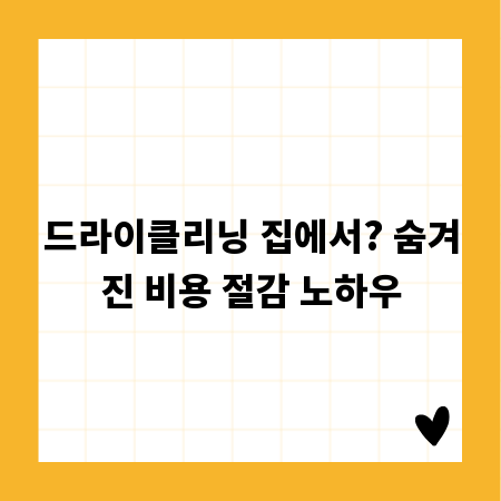 드라이클리닝 집에서? 숨겨진 비용 절감 노하우