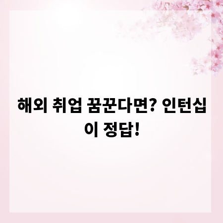 해외 취업 꿈꾼다면? 인턴십이 정답!