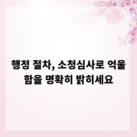 행정 절차, 소청심사로 억울함을 명확히 밝히세요