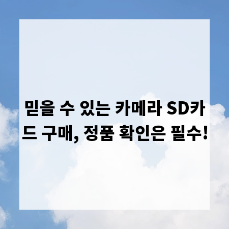 믿을 수 있는 카메라 SD카드 구매, 정품 확인은 필수!
