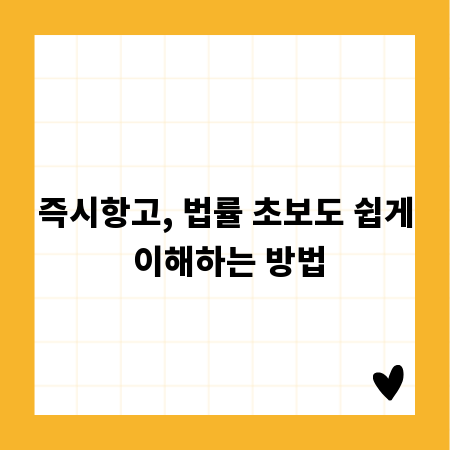 즉시항고, 법률 초보도 쉽게 이해하는 방법