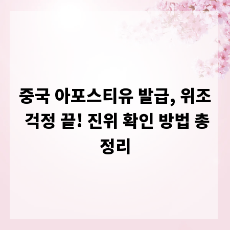 중국 아포스티유 발급, 위조 걱정 끝! 진위 확인 방법 총정리