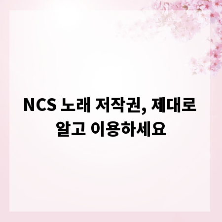 NCS 노래 저작권, 제대로 알고 이용하세요