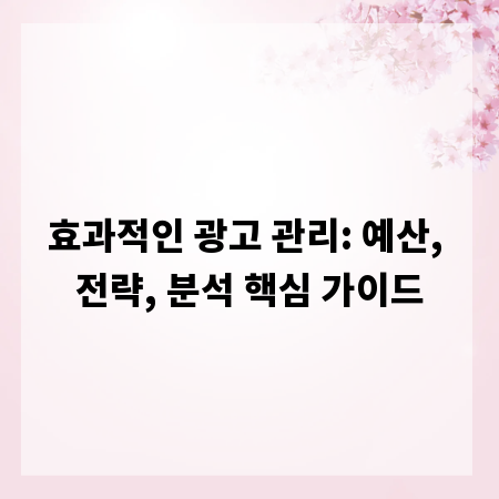 효과적인 광고 관리: 예산, 전략, 분석 핵심 가이드