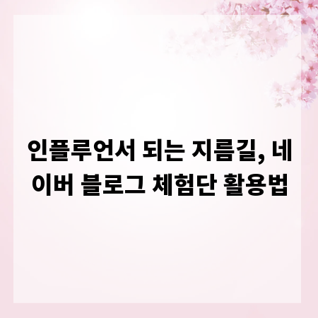 인플루언서 되는 지름길, 네이버 블로그 체험단 활용법