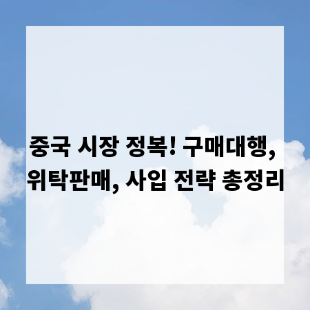 중국 시장 정복! 구매대행, 위탁판매, 사입 전략 총정리