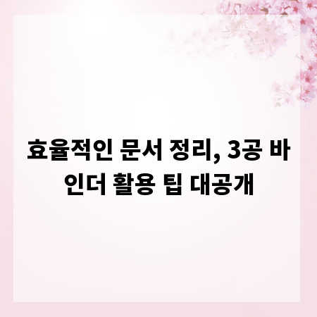 효율적인 문서 정리, 3공 바인더 활용 팁 대공개