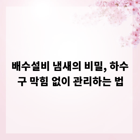 배수설비 냄새의 비밀, 하수구 막힘 없이 관리하는 법