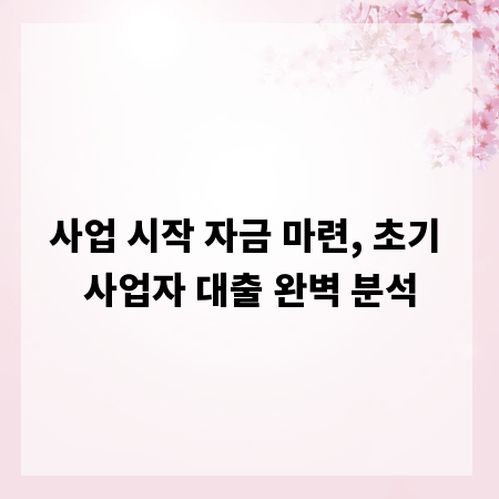 사업 시작 자금 마련, 초기 사업자 대출 완벽 분석