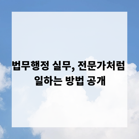법무행정 실무, 전문가처럼 일하는 방법 공개
