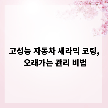 고성능 자동차 세라믹 코팅, 오래가는 관리 비법