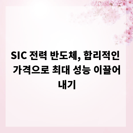 SIC 전력 반도체, 합리적인 가격으로 최대 성능 이끌어내기