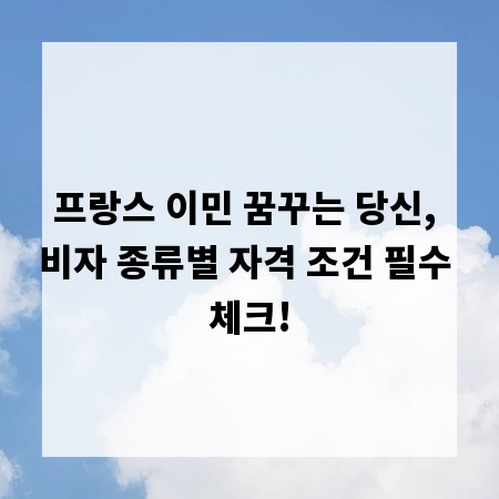 프랑스 이민 꿈꾸는 당신, 비자 종류별 자격 조건 필수 체크!