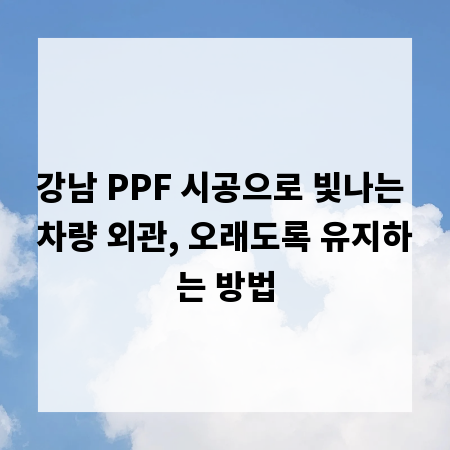 강남 PPF 시공으로 빛나는 차량 외관, 오래도록 유지하는 방법