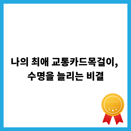 나의 최애 교통카드목걸이, 수명을 늘리는 비결