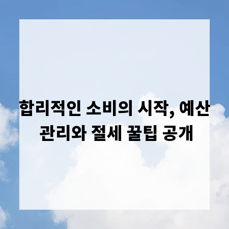 합리적인 소비의 시작, 예산 관리와 절세 꿀팁 공개