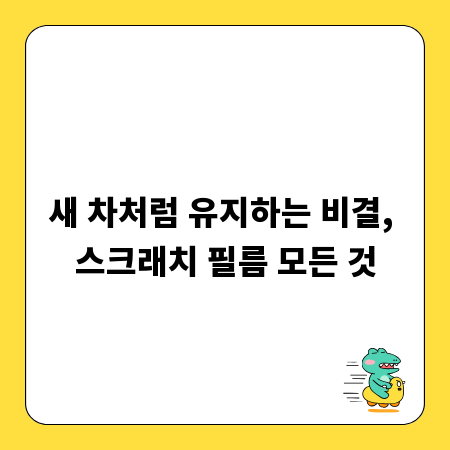 새 차처럼 유지하는 비결, 스크래치 필름 모든 것