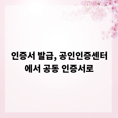 인증서 발급, 공인인증센터에서 공동 인증서로
