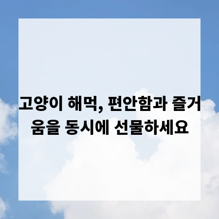 고양이 해먹, 편안함과 즐거움을 동시에 선물하세요