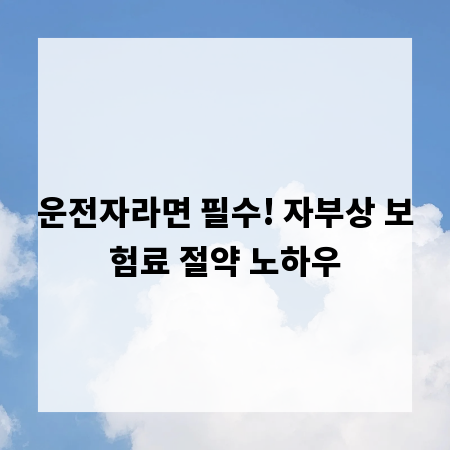 운전자라면 필수! 자부상 보험료 절약 노하우