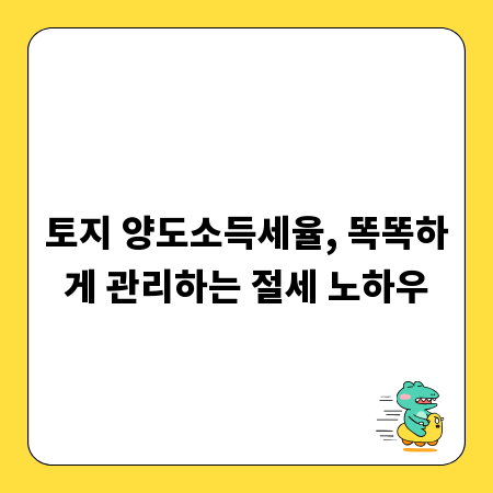 토지 양도소득세율, 똑똑하게 관리하는 절세 노하우