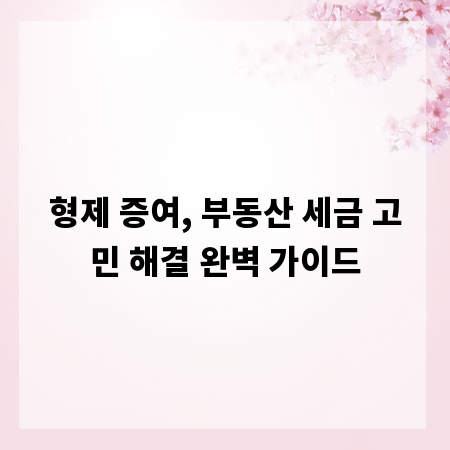 형제 증여, 부동산 세금 고민 해결 완벽 가이드