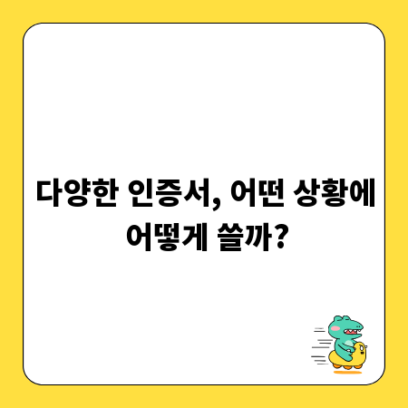 다양한 인증서, 어떤 상황에 어떻게 쓸까?