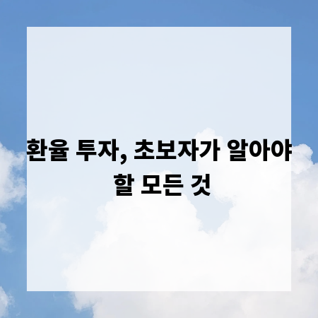 환율 투자, 초보자가 알아야 할 모든 것