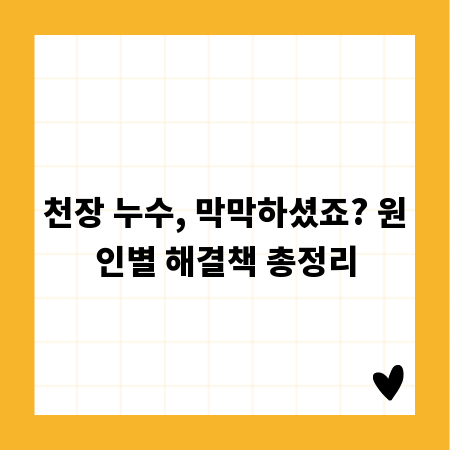 천장 누수, 막막하셨죠? 원인별 해결책 총정리