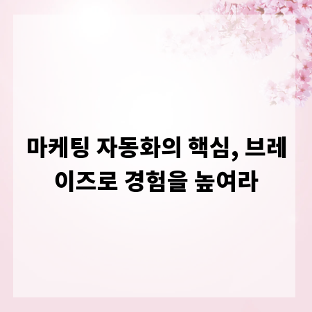 마케팅 자동화의 핵심, 브레이즈로 경험을 높여라