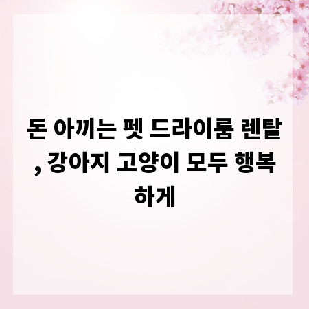 돈 아끼는 펫 드라이룸 렌탈, 강아지 고양이 모두 행복하게