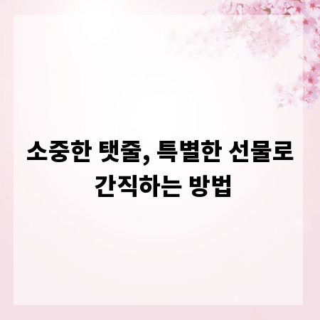 소중한 탯줄, 특별한 선물로 간직하는 방법