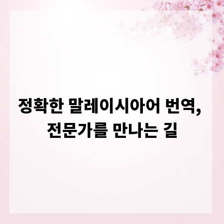 정확한 말레이시아어 번역, 전문가를 만나는 길