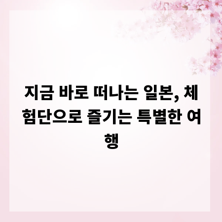 지금 바로 떠나는 일본, 체험단으로 즐기는 특별한 여행