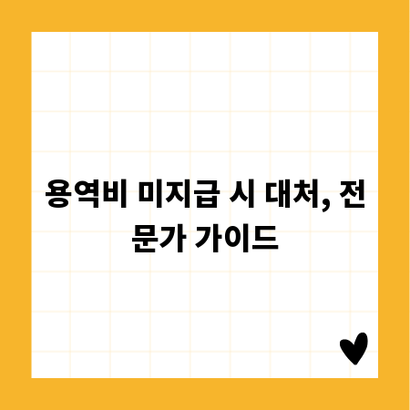 용역비 미지급 시 대처, 전문가 가이드