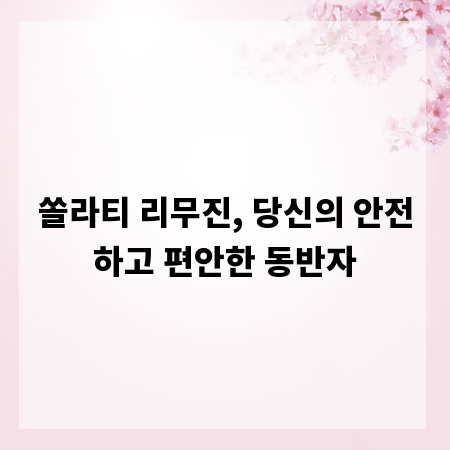 쏠라티 리무진, 당신의 안전하고 편안한 동반자