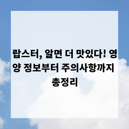 랍스터, 알면 더 맛있다! 영양 정보부터 주의사항까지 총정리