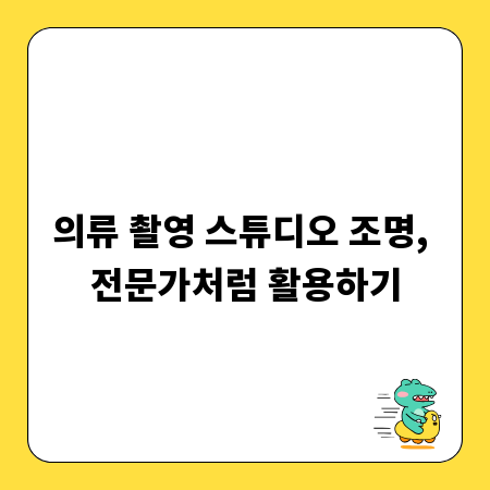 의류 촬영 스튜디오 조명, 전문가처럼 활용하기