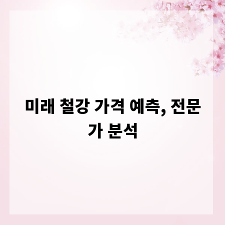 미래 철강 가격 예측, 전문가 분석
