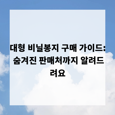대형 비닐봉지 구매 가이드: 숨겨진 판매처까지 알려드려요