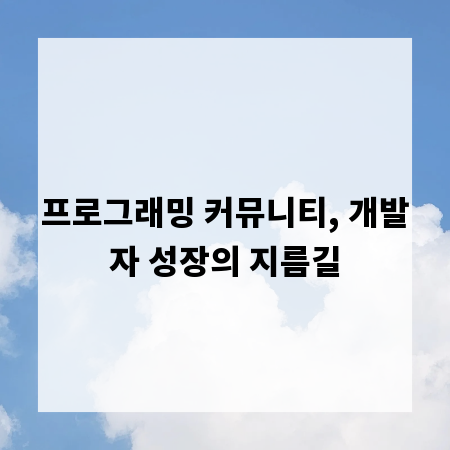 프로그래밍 커뮤니티, 개발자 성장의 지름길