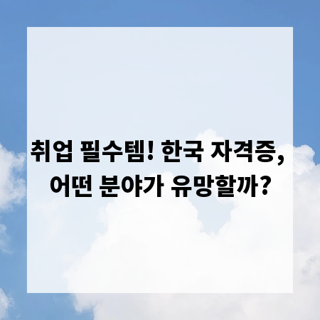 취업 필수템! 한국 자격증, 어떤 분야가 유망할까?