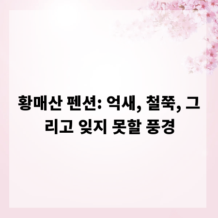 황매산 펜션: 억새, 철쭉, 그리고 잊지 못할 풍경