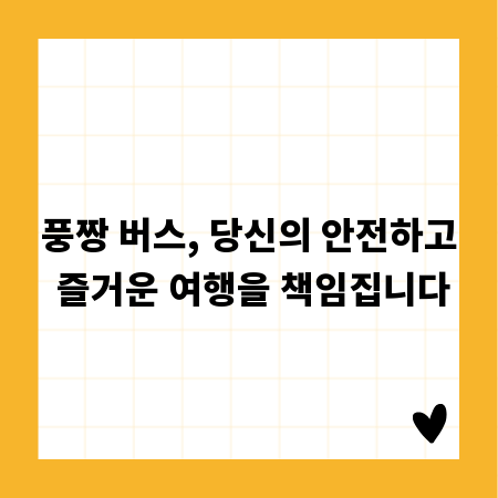풍짱 버스, 당신의 안전하고 즐거운 여행을 책임집니다